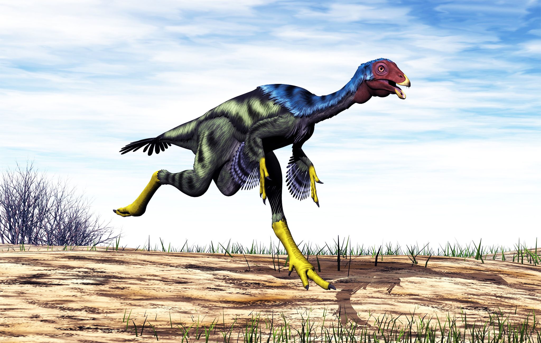 Robopterix Robopteryx: segredos das penas de dinossauro revelados por um ...