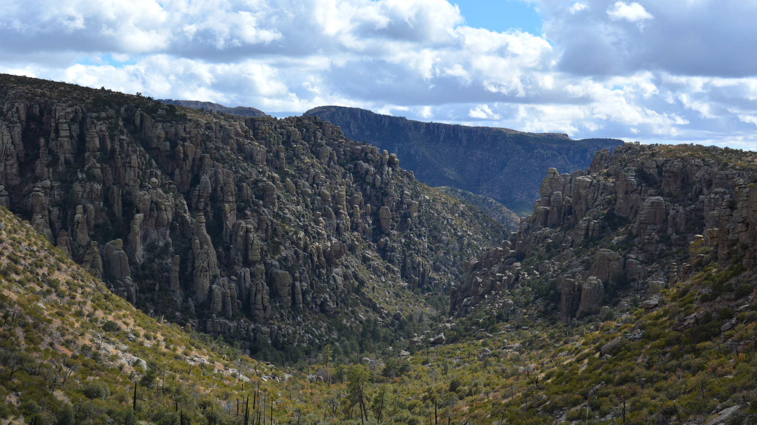 O Monumento Nacional de Chiricahua é famoso por seus vogos, na foto aqui. Crédito: Wyatt Myskow/Naturlink