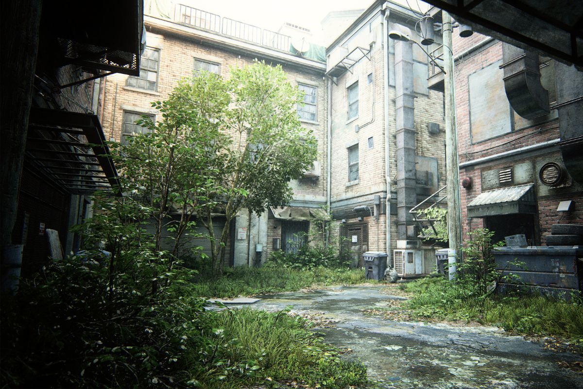 Se os humanos desaparecessem