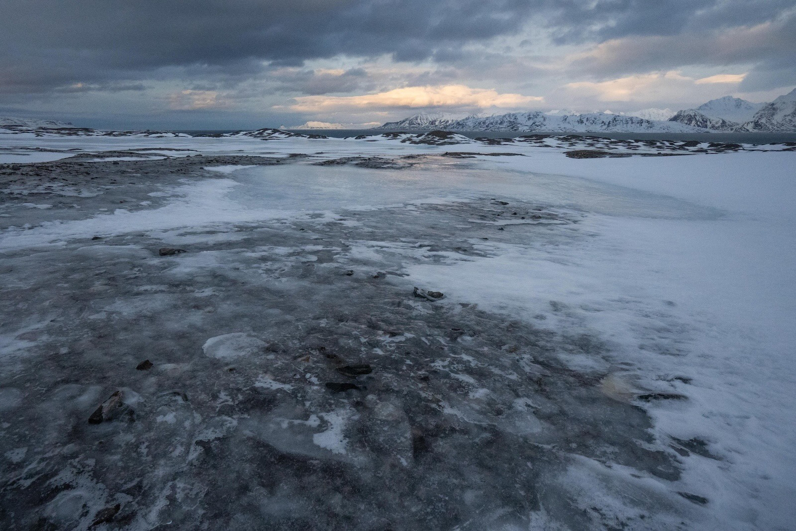 Pesquisadores sobre Svalbard dizem que as crescentes temperaturas do Ártico levaram à redução da cobertura de gelo do mar e ao descongelamento rapidamente do permafrost. Essas condições fazem parte de um ciclo de feedback que torna a região especialmente vulnerável às mudanças climáticas. Crédito: Cortesia de James Bradley