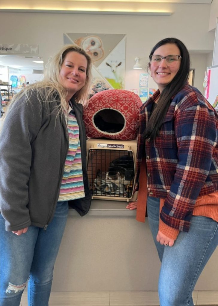 Casal reencontra seu gato desaparecido 1