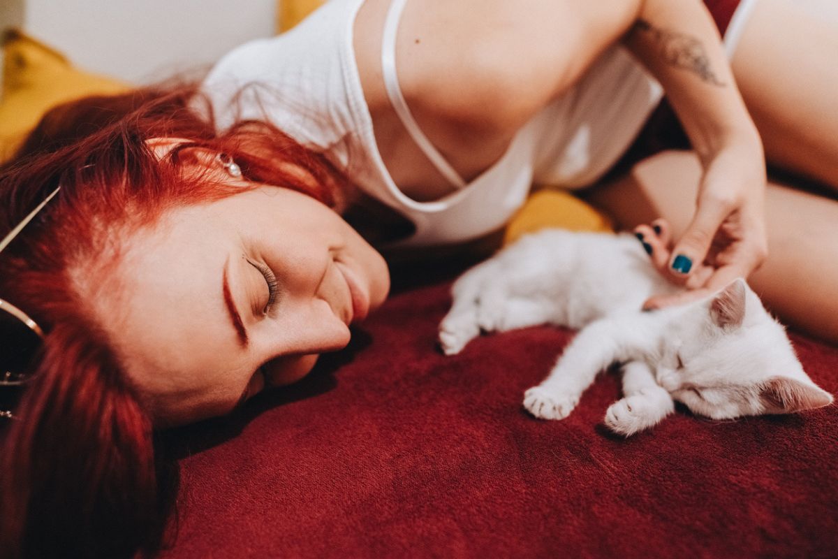 Se o seu gato dorme em cima de você