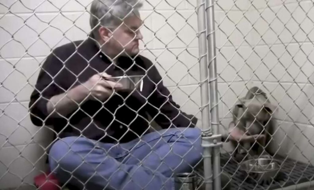 Veterinário janta com cadela assustada em abrigo 1