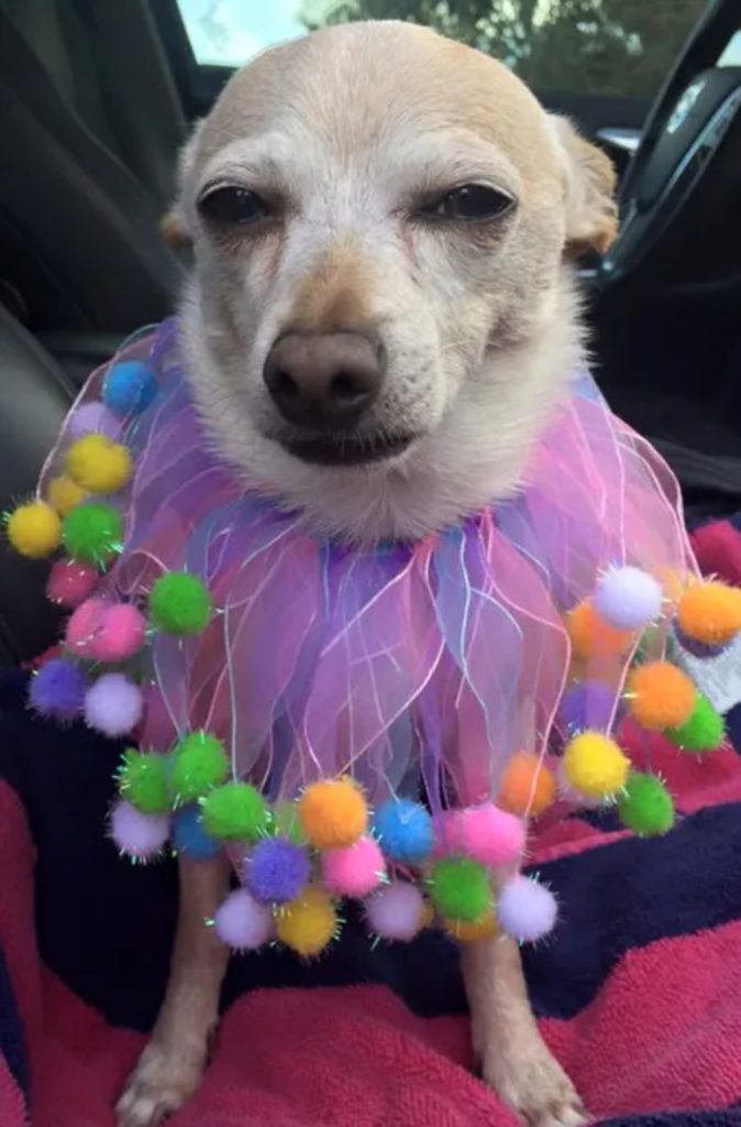 adoção ao novo nome