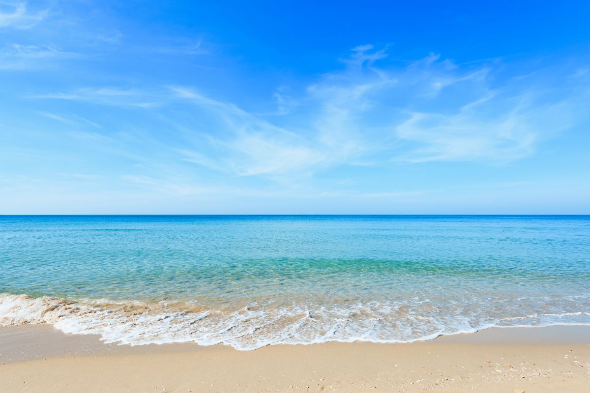 Homem sobrevive dois meses com sua cadela em alto