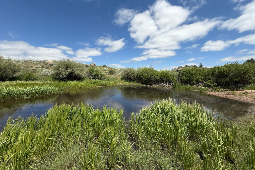 A view of a beaver pond and dam in the Happy Jack Recreation Area of Wyoming. Credit: Courtesy of Luwen Wan