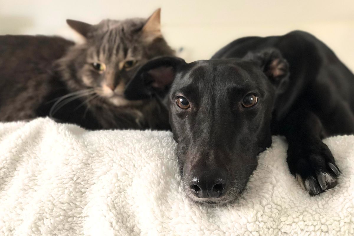 Ela chora ao filmar a despedida emocionante