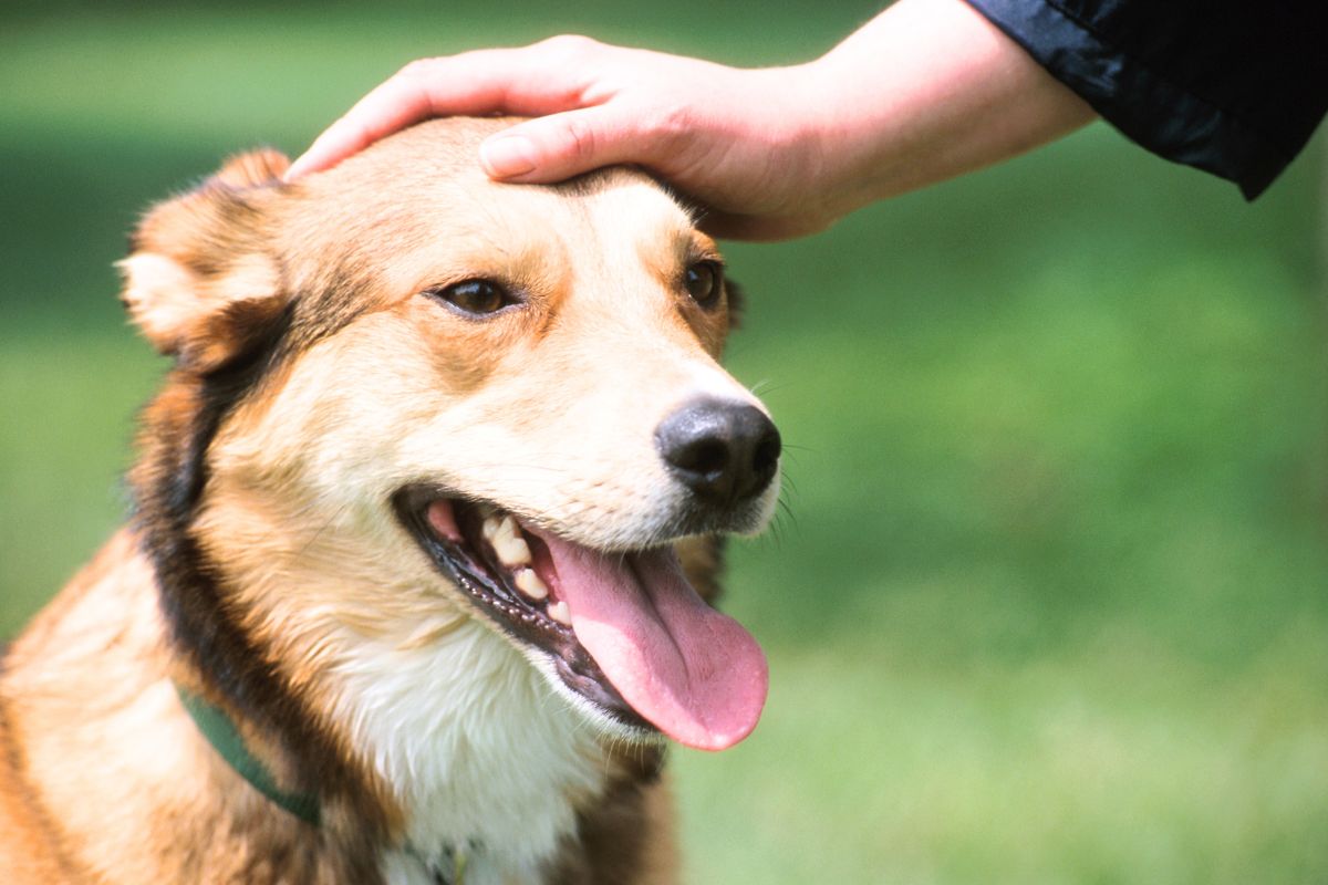 Cientista faz descoberta surpreendente sobre