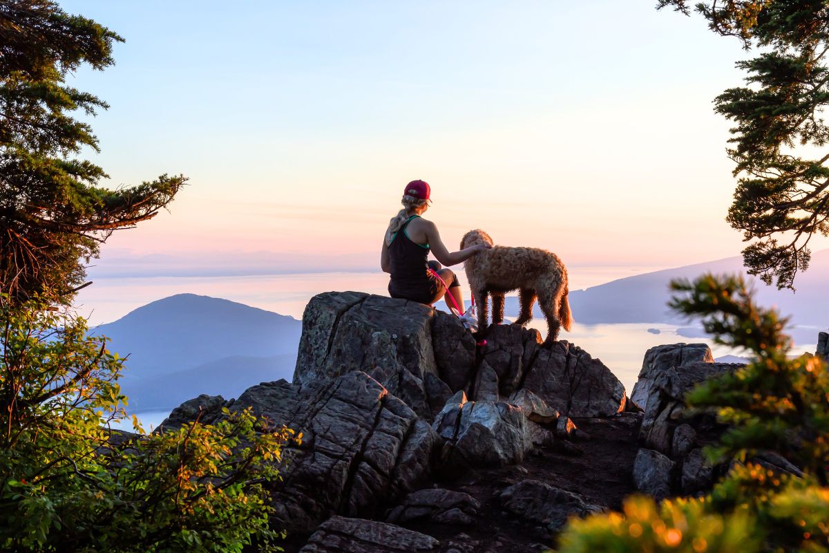 10 fotos de cão e gato