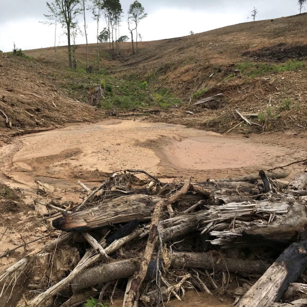 Um leito de riacho enterrado em sedimentos na propriedade Bottomley em 2021. A agricultura está isenta de obter permissões de sedimentação e erosão. No entanto, os agricultores ainda precisam obter uma permissão de qualidade da água para preencher riachos ou zonas úmidas. Crédito: Deq