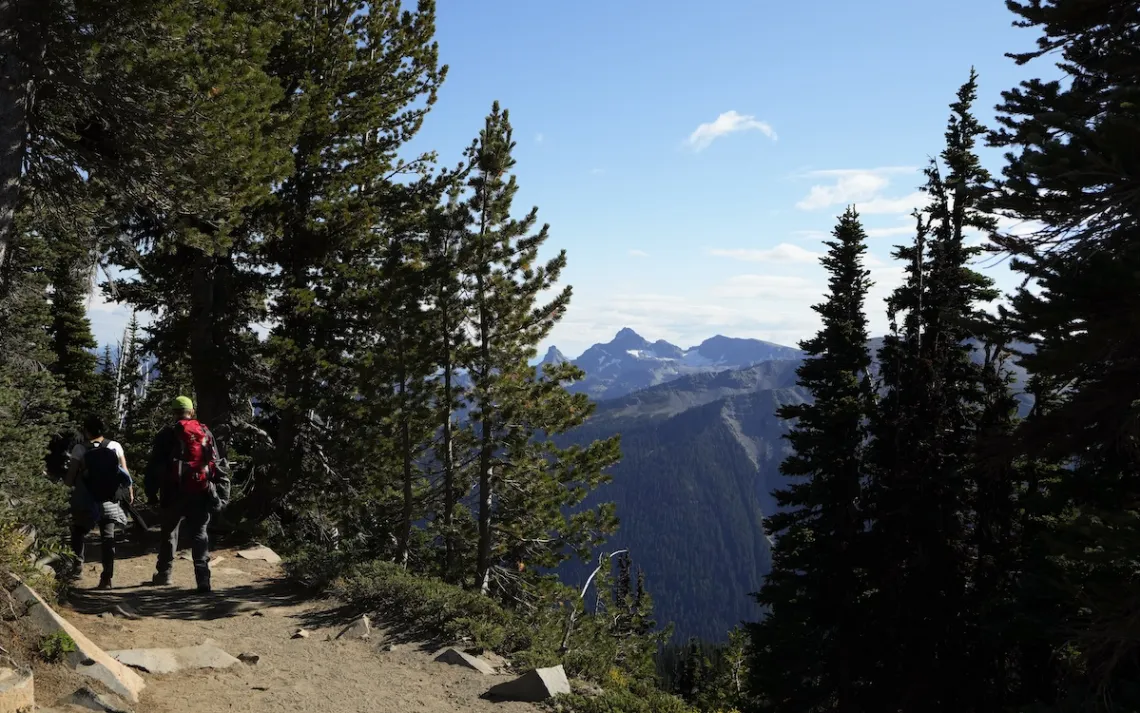 Foto de Lindsey Wasson/Via AP