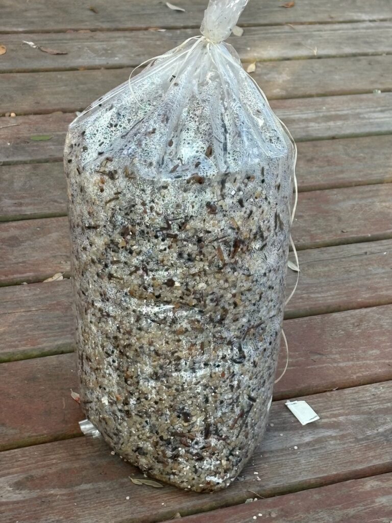 Pellets de plástico foram coletados durante 10 minutos perto de um emissário de águas residuais da instalação Seadrift da Dow. Cortesia de Diane Wilson