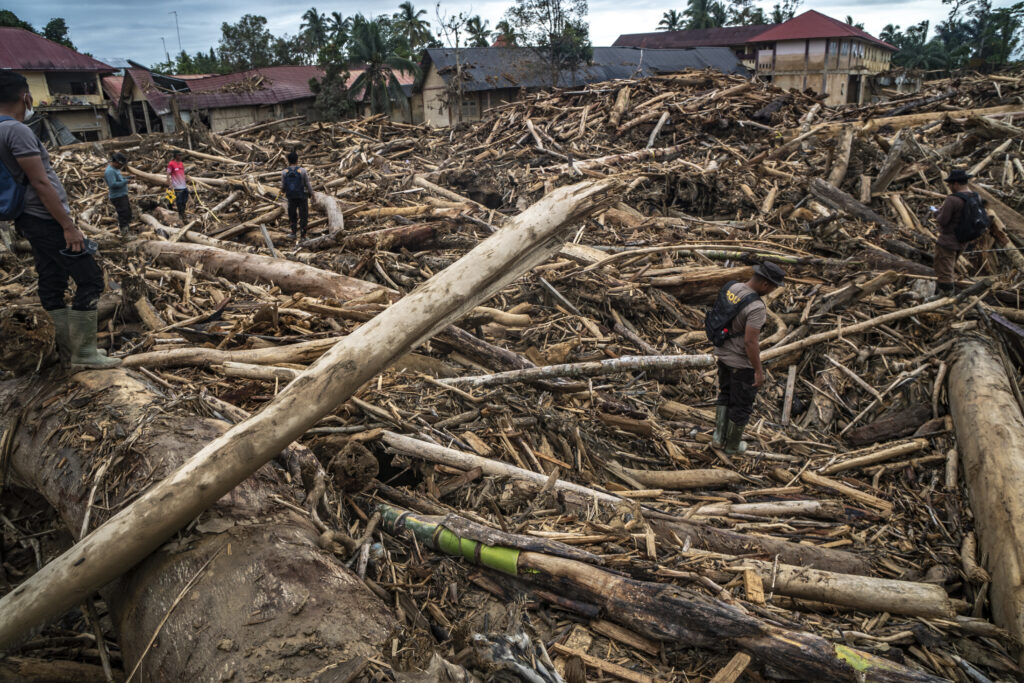 What looks like hundreds of logs and tree branches are piled up in the village near damaged homes.
