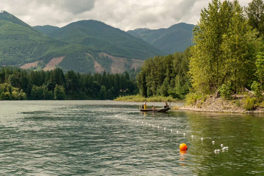 Upper Skagit Tribal members harvest Baker River sockeye salmon at the Skagit River confluence in Washington. Credit: Northwest Indian Fisheries Commission