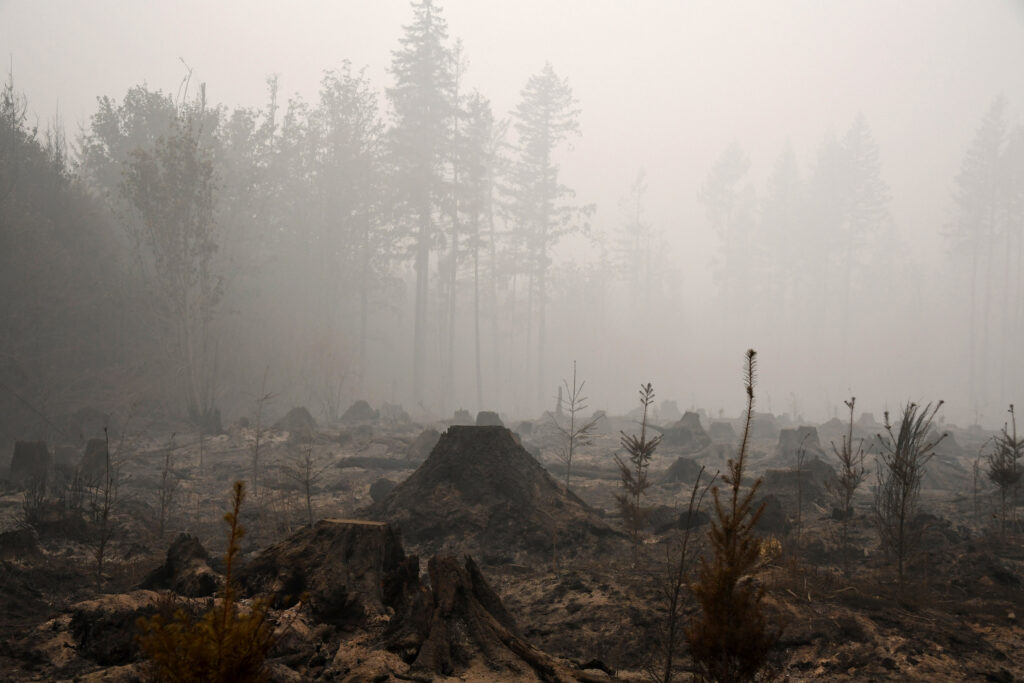 The burned remains of a timber operation in Molalla, Ore., on Sept. 13, 2020, after the Riverside Fire swept through the area. Credit: Robyn Beck/AFP via Getty Images