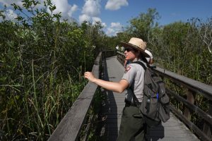 A National Park Service ranger conducts a walking tour through Shark Valley in Everglades National Park on April 17, 2025. Credit: Joe Raedle/Getty Images