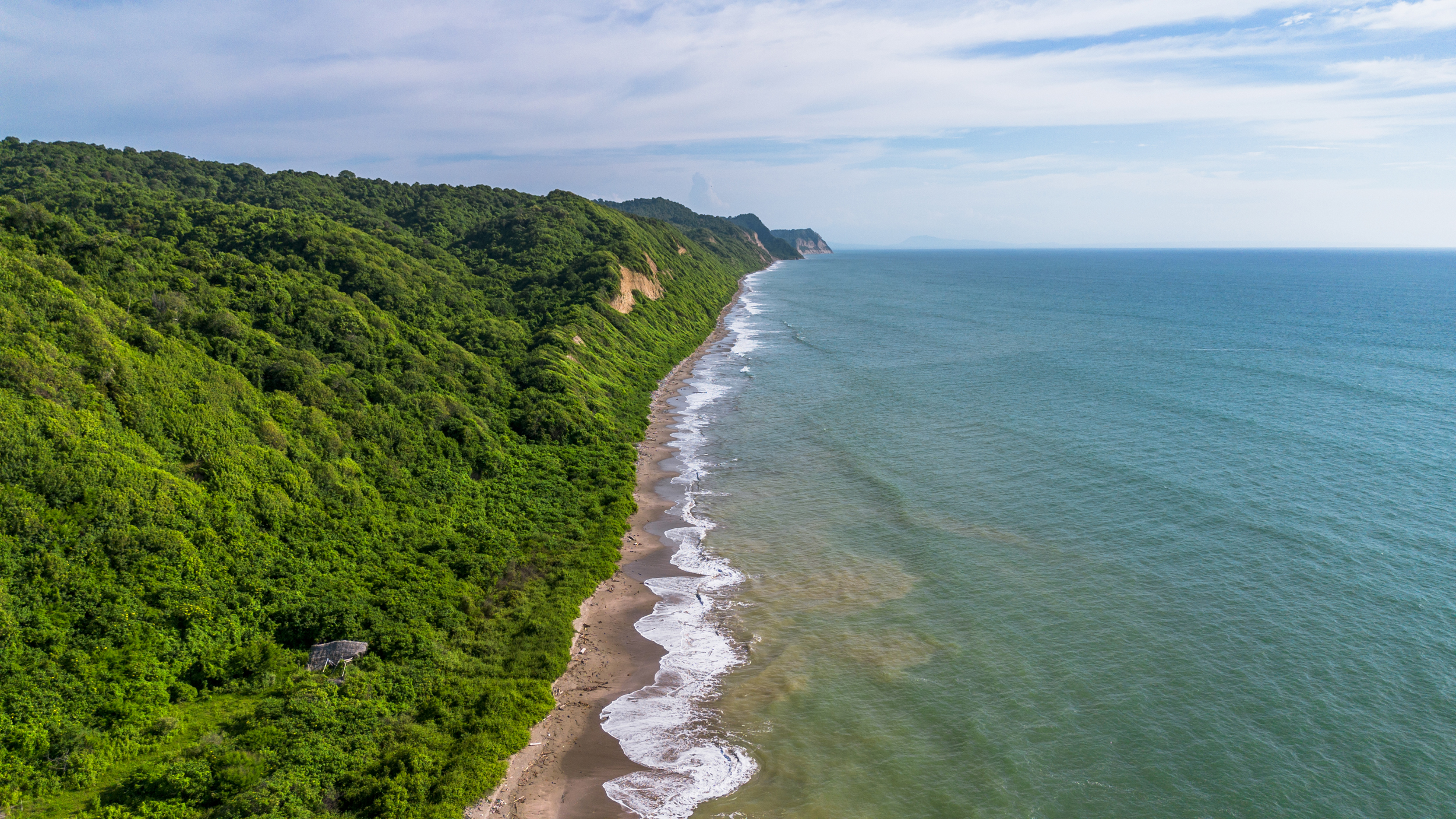 Foram necessárias 14 pessoas quatro dias patrulhando mais de 9 quilômetros de costa remota ao longo da praia de Pajonal, no Equador, para encontrar uma tartaruga-de-couro nidificada para marcar. Crédito: Nikki Riddy
