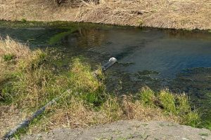 A pipe discharges liquid waste from Tesla’s lithium refinery plant into a ditch on Feb. 13 in Robstown, Texas. Credit: Steve Ray/Nueces County Drainage District No. 2