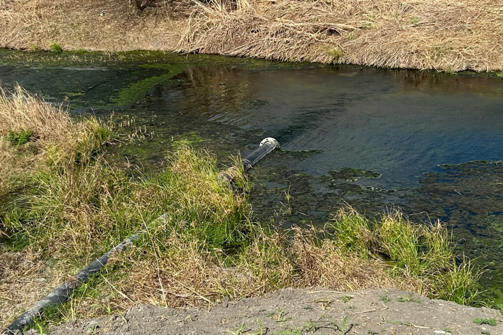 A pipe discharges liquid waste from Tesla’s lithium refinery plant into a ditch on Feb. 13 in Robstown, Texas. Credit: Steve Ray/Nueces County Drainage District No. 2