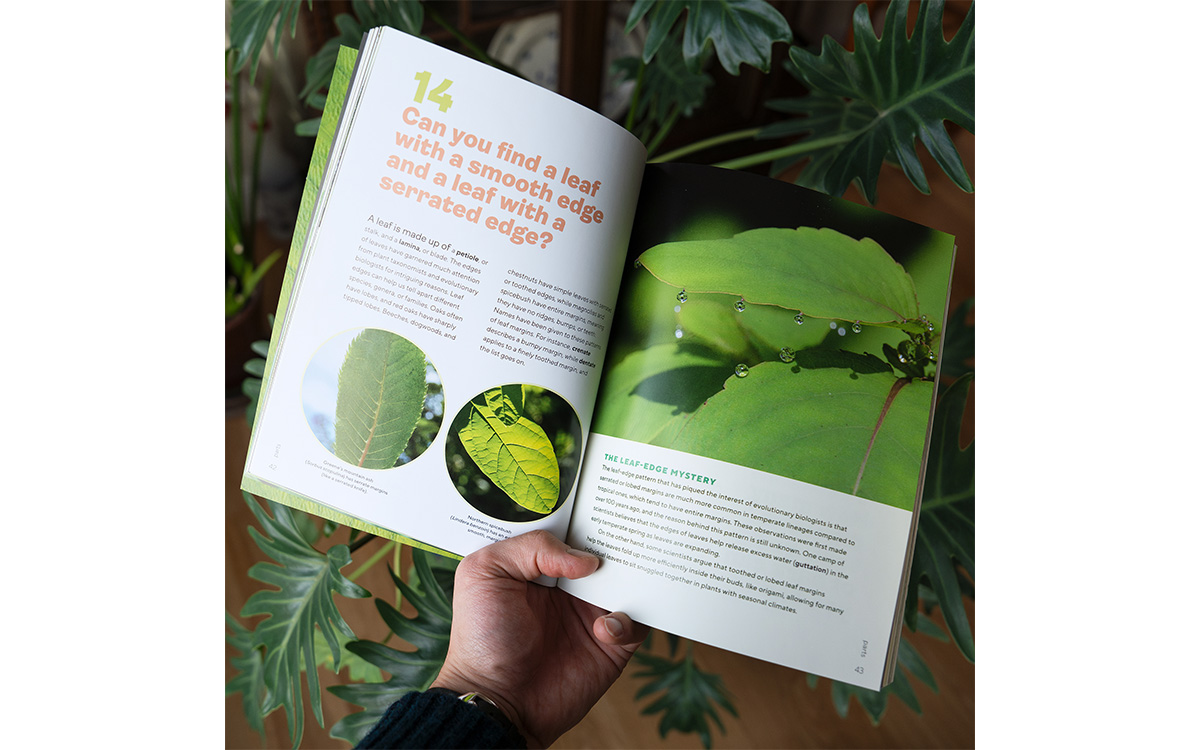 Foto cortesia de Ben Goulet-Scott 