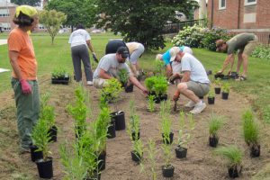 Members of Faith Presbyterian Church in northeastern Baltimore came together to plant a 200-square-foot rain garden. Credit: William Curtis/Faith Presbyterian