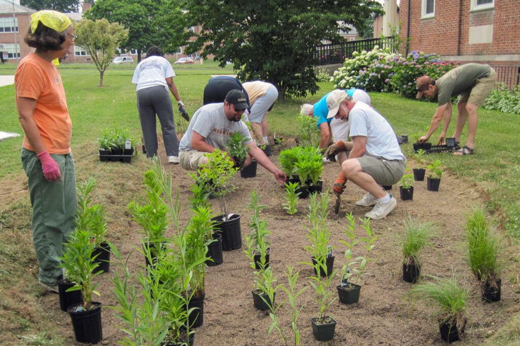 Members of Faith Presbyterian Church in northeastern Baltimore came together to plant a 200-square-foot rain garden. Credit: William Curtis/Faith Presbyterian