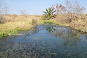 A Texas Commission on Environmental Quality investigator tested wastewater from Tesla’s Robstown lithium refinery on Feb. 12. Credit: Travis Prater/Texas Commission on Environmental Quality