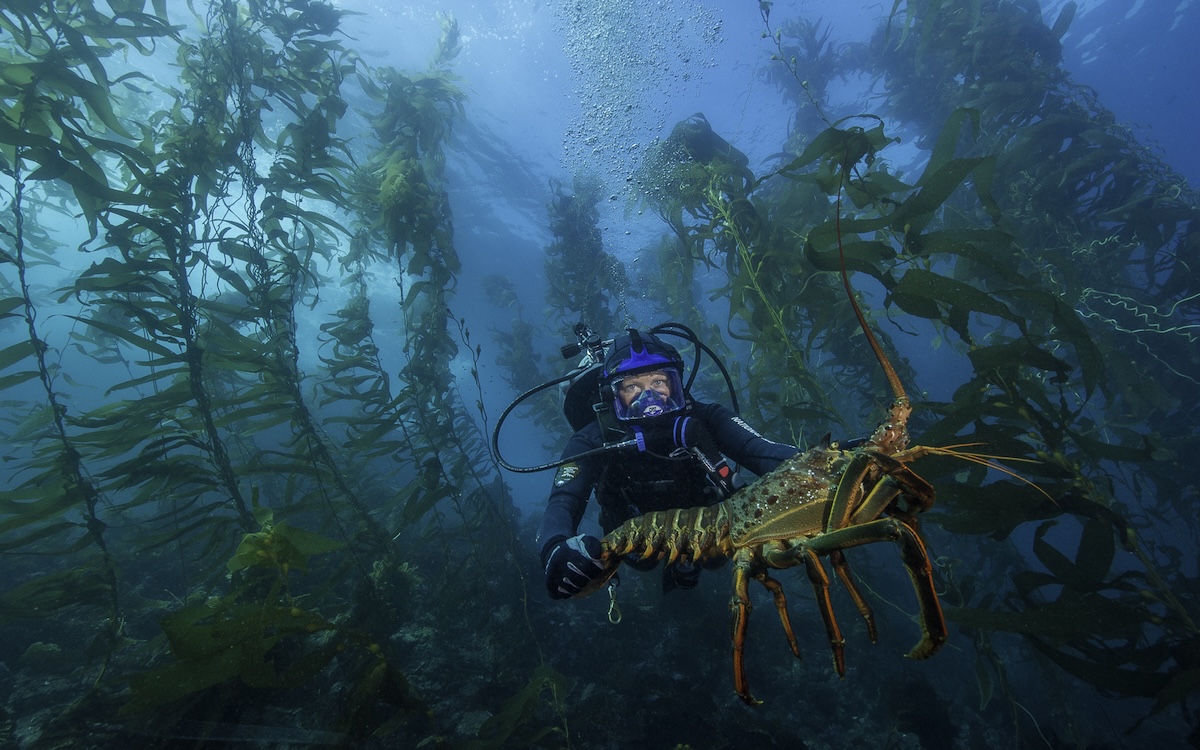 Foto cortesia do Serviço Nacional de Parques
