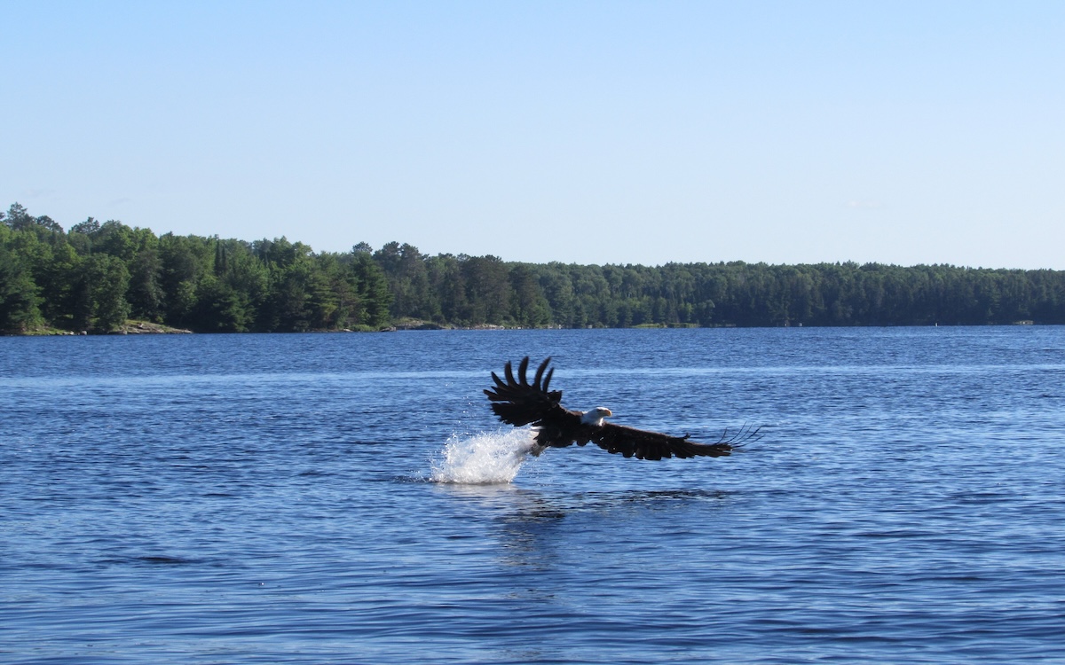Parque Nacional Voyageurs Foto cortesia de R. Lehto/NPS