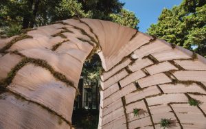 Foto de Nicholas Lea Bruno, cortesia de ICA SF