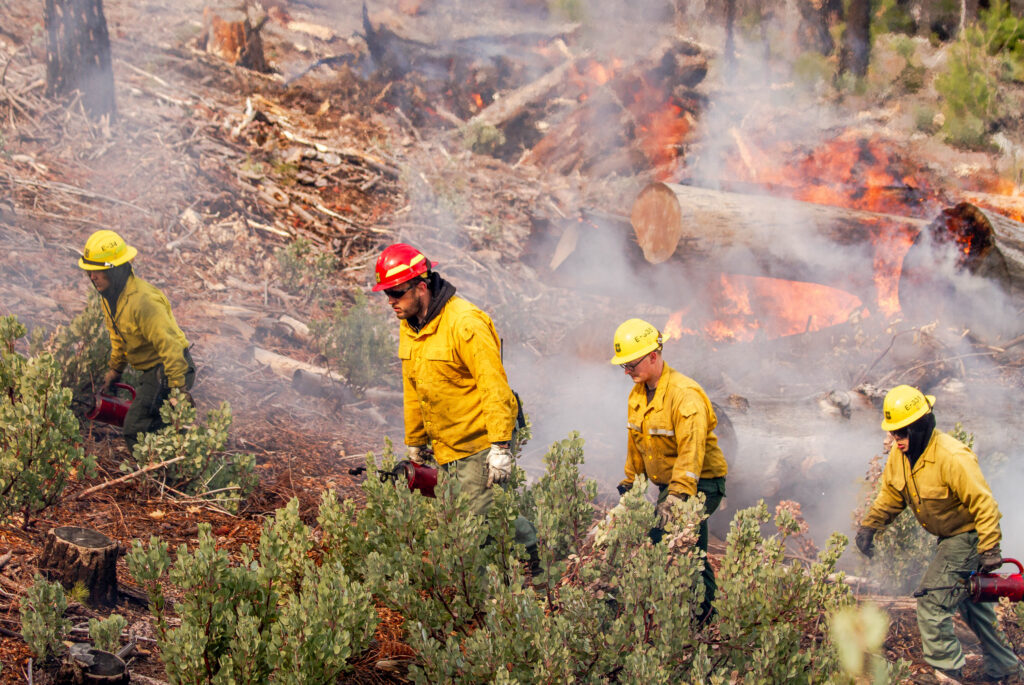 Forest Service Firefighters perform a prescribed burn at Letts Lake near Stonyford, Calif., in the Mendocino National Forest on March 5, 2025. Credit: Susan Knight-Ashley/USDA Forest Service