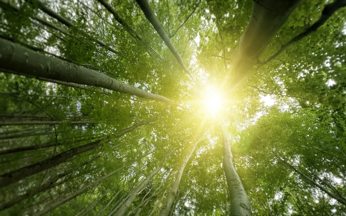 Foto de Alex Cristi/iStock