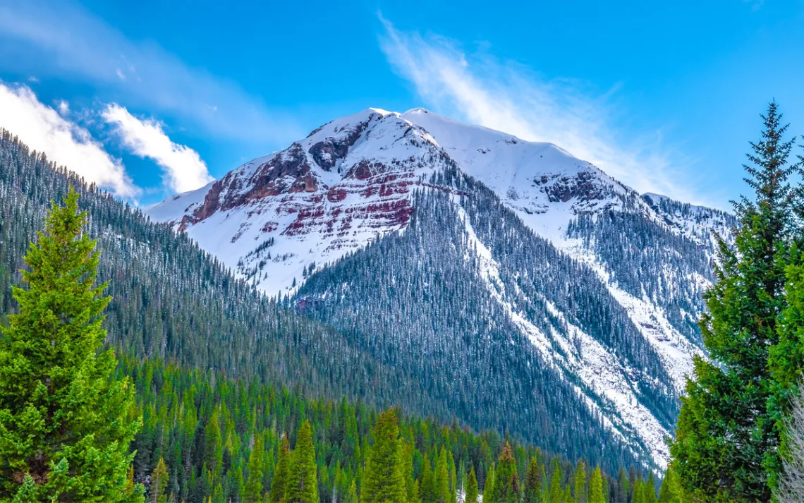 Evergreen emoldurando um pico de montanha em Silverton, Colorado