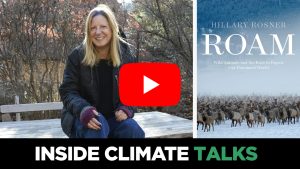 Espaço para passear