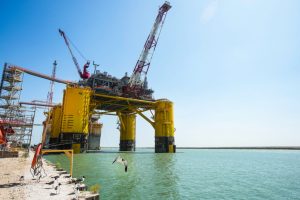 A seagull takes flight near the construction of a Shell oil platform in the Gulf of Mexico in 2022. Credit: Brett Coomer/Houston Chronicle via Getty Images