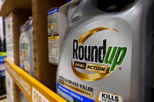 Roundup sits on the shelves of a store in San Diego on March 11. Credit: Kevin Carter/Getty Images