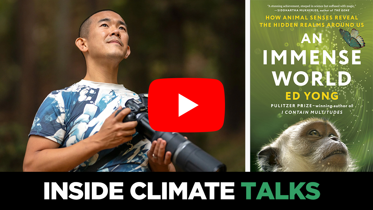 Os extraordinários mundos sensoriais dos animais