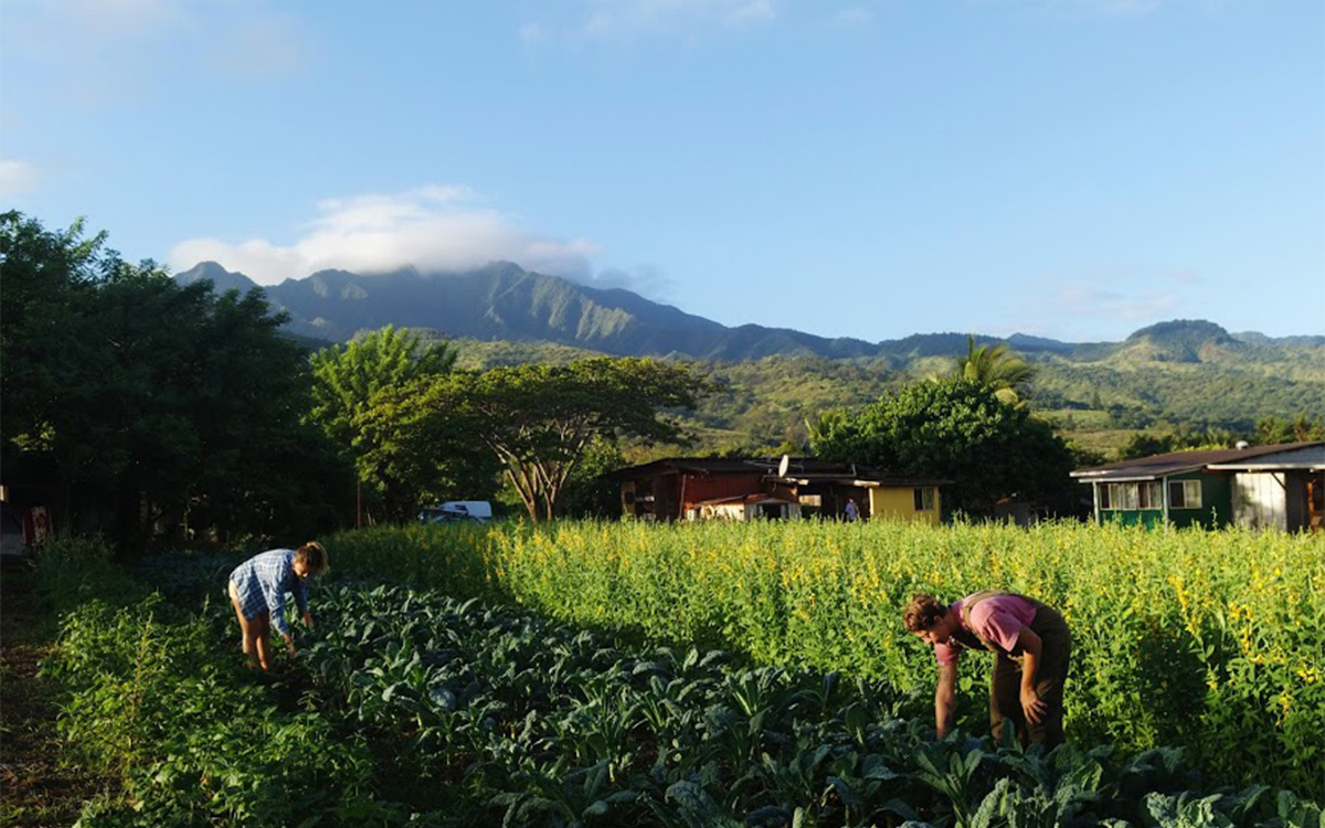 Fotos cortesia de Worldwide Opportunities on Organic Farms (WWOOF)