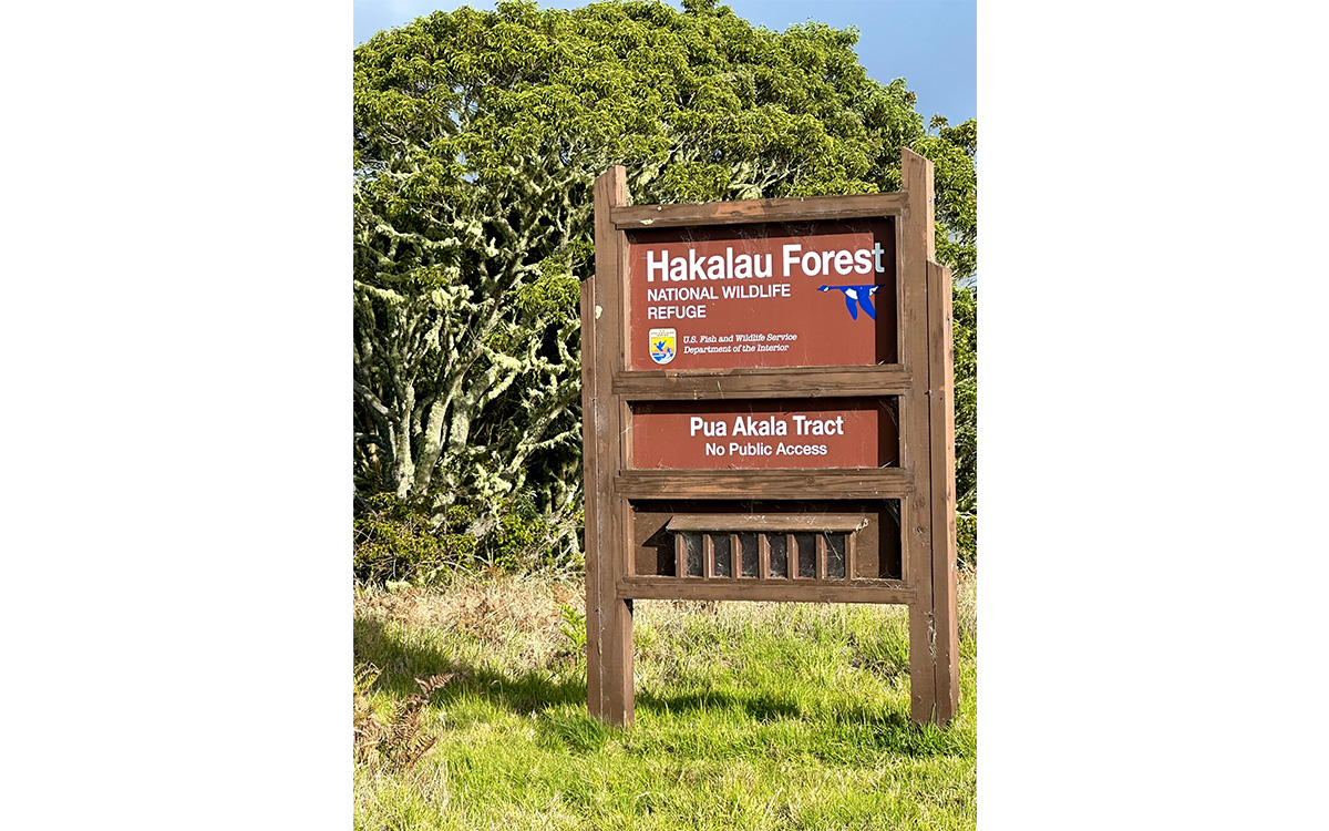 Foto de Jill K. Robinson