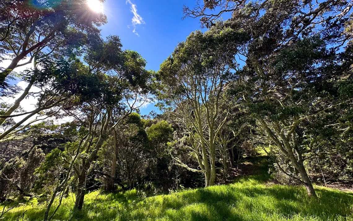 Foto de Jill K. Robinson