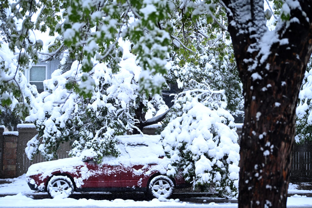 Tree limbs fall atop a snow-covered car in Boulder, Colo., during one of the largest May snowstorms in decades on May 6. Credit: Mark Makela/Getty Images