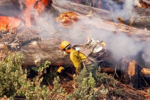 A Forest Service firefighter uses a torch kit during a prescribed burn on March 5, 2025, at Letts Lake near Stonyford, Calif., in the Mendocino National Forest. Credit: Susan Knight-Ashley/USDA Forest Service