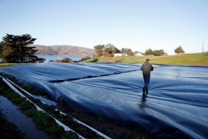 A view of a methane digester at Straus Dairy Farm in Marshall, Calif. Credit: Scott Strazzante/The San Francisco Chronicle via Getty Images