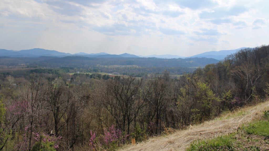 A vista da I-64 East voltada para o sul, onde a linha Joshua Falls até Yeat de Valley Link começaria. Crédito: Charles Paullin/Naturlink
