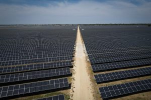 A solar farm in Iola, Texas. Credit: Jon Shapley/Houston Chronicle via Getty Images
