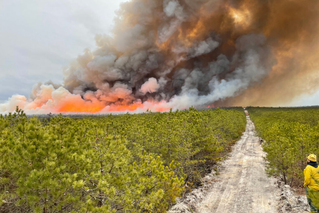 O Serviço de Incêndios Florestais de Nova Jersey, em cooperação com o Serviço de Pesca e Vida Selvagem dos EUA, realiza uma queima prescrita perto de Warren Grove, NJ. Crédito: Kevin Brown/USFWS