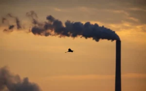 Uma garça-grande é vista em vôo enquanto a poluição e o vapor sobem das chaminés da Central Elétrica de Miami Fort, que está situada ao longo do rio Ohio, em Lawrenceburg, Indiana, em 21 de setembro de 2025, na Oxbow Nature Conservancy