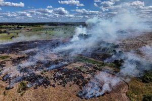 A field fire burns in Pará, Brazil, within the Amazon rainforest on June 16, 2025. Credit: Ivan Pisarenko/AFP via Getty Images