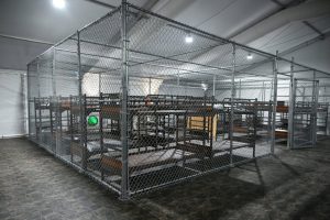 Beds are seen inside the Alligator Alcatraz migrant detention center in Ochopee, Fla., on July 1, 2025. Credit: Andrew Caballero-Reynolds/AFP via Getty Images