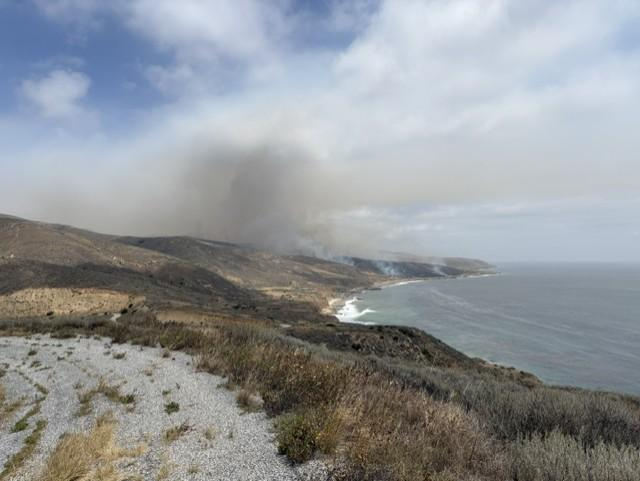 Incêndio nas 'Galápagos da América do Norte' arrisca espécies não encontradas em nenhum outro lugar